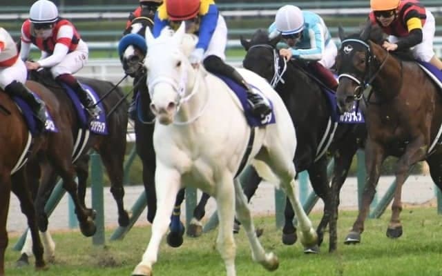 【競馬ファンが選ぶ最優秀2歳牝馬】無傷で2歳女王に輝いた白毛馬ソダシがトップ/netkeiba大賞 中間発表