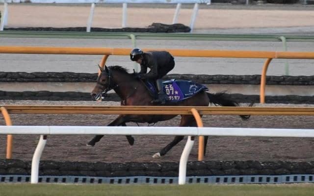 ラウダシオン、シルクロードSに向けて追い切り開始/栗東トレセンニュース