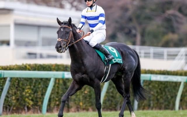 【中山金杯】売上は71億9513万2200円で昨年から減少