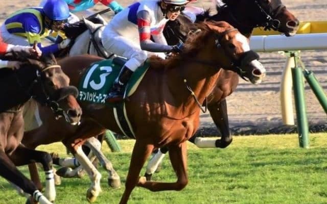 【フェアリーS見どころ】テンハッピーローズが人気の中心か