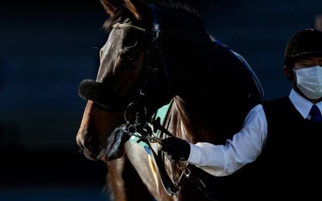 【シンザン記念見どころ】牝馬ククナの重賞初制覇なるか