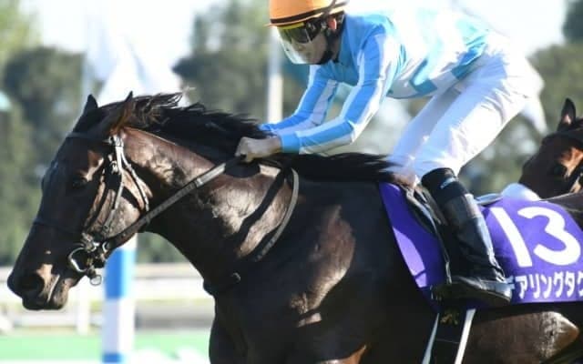 【競馬ファンが選ぶ最優秀3歳牝馬】無敗牝馬三冠デアリングタクトが圧倒的首位/netkeiba大賞 中間発表