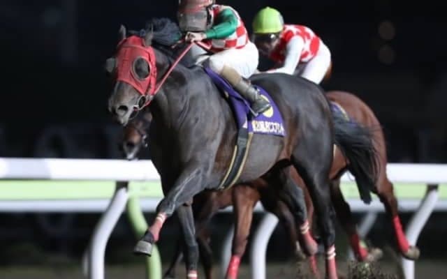 【競馬ファンが選ぶ最優秀地方馬】JBCスプリント覇者サブノジュニアがトップ/netkeiba大賞 中間発表