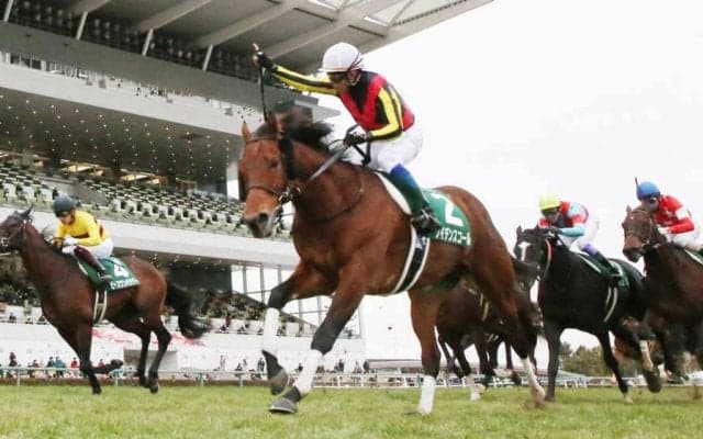 【京都金杯】12番人気ケイデンスコールが復活V！重賞2勝目