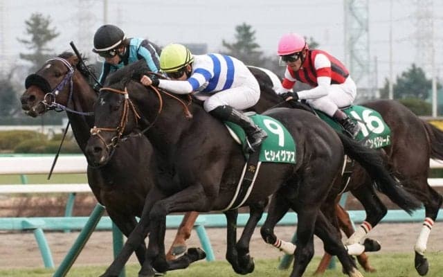 【中山金杯】ヒシイグアスが重賞初制覇