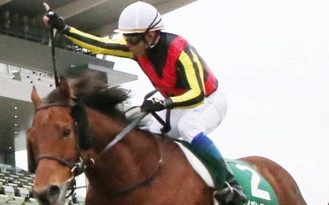 【京都金杯】岩田康「狙ったレースでした」ケイデンスコールが復活V