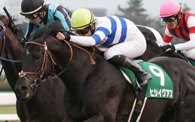 【中山金杯】松山「良いスタート切れた」ヒシイグアスが人気に応える