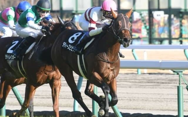 【シンザン記念展望】新春の出世レース、あの馬に期待したい