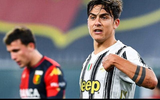 「何してんだお前？」レゴを楽しむディバラを眺める秋田犬の表情がシュール過ぎる