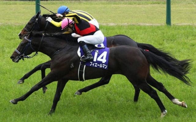 フィエールマンが競走馬登録抹消