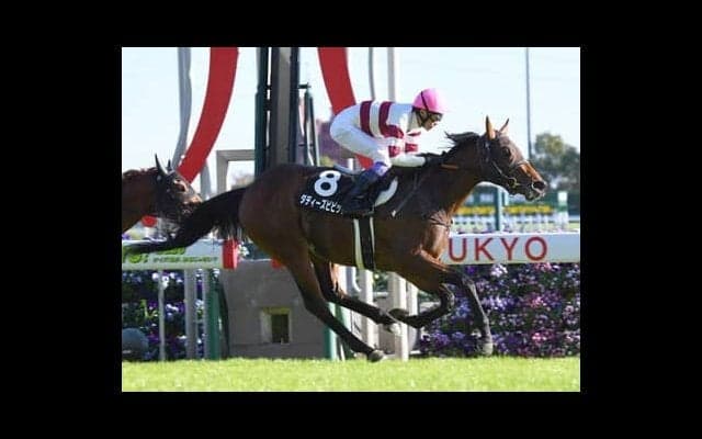 シンザン記念は中京で開催。条件変更が吉になりそうな馬は？