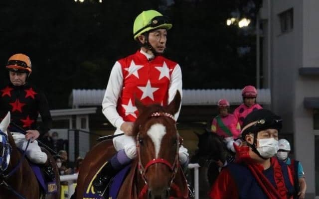 【次走】マテラスカイは2年連続となるサウジアラビア遠征が決定