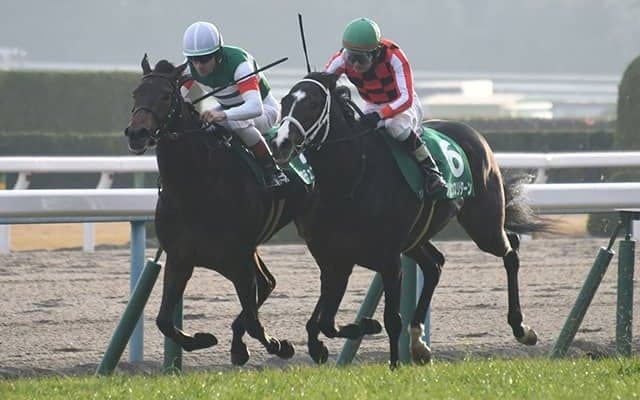 【シンザン記念予想】 不安要素だらけの実績馬に注意！ 厩舎データから弾き出した今週の注目馬は？/JRAレース展望