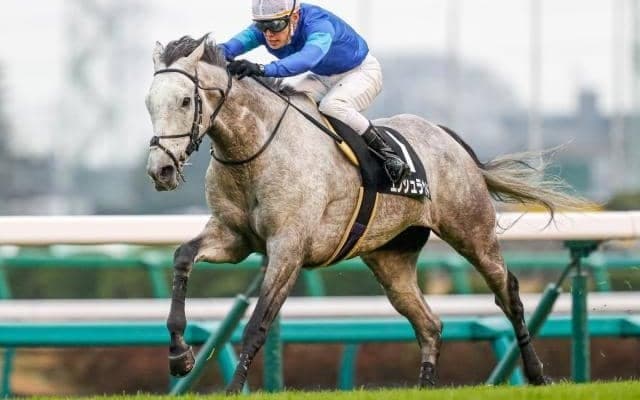 【JRA】落馬の五十嵐雄祐騎手は右鎖骨々折の診断、エンシュラウドは予後不良