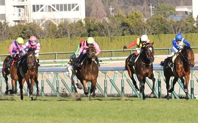 【淀短距離S】枠内駐立不良のアイラブテーラーは発走調教再審査、岩田康誠騎手は過怠金1万円