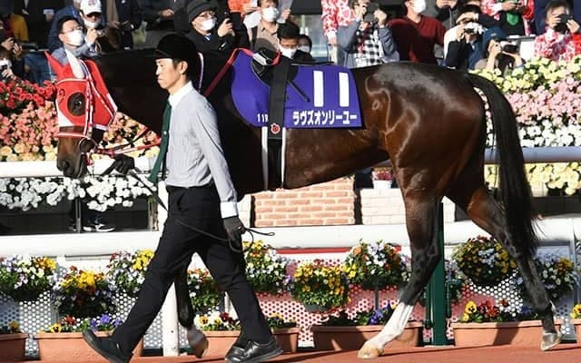 【次走】ラヴズオンリーユーは川田将雅騎手との新コンビで京都記念へ