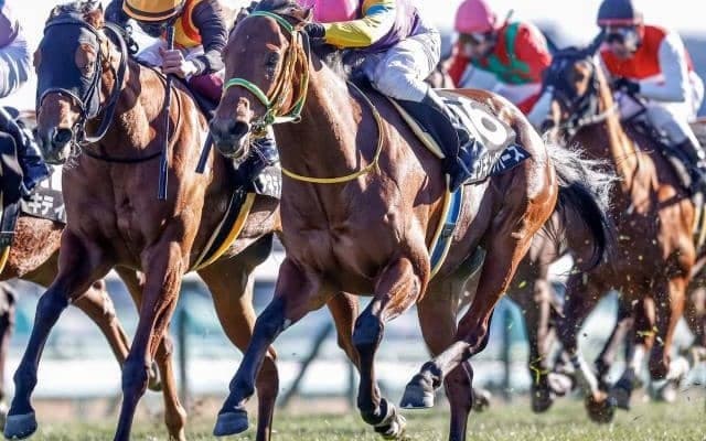 【朱竹賞結果】4番人気のロンギングバースが大外一気V