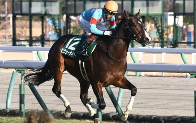 【シンザン記念結果】ピクシーナイトが逃げ切り、モーリス産駒重賞初V