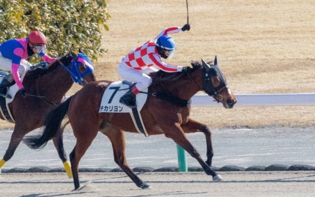 【中京3R】ハーツクライ産駒 チカリヨンが初勝利