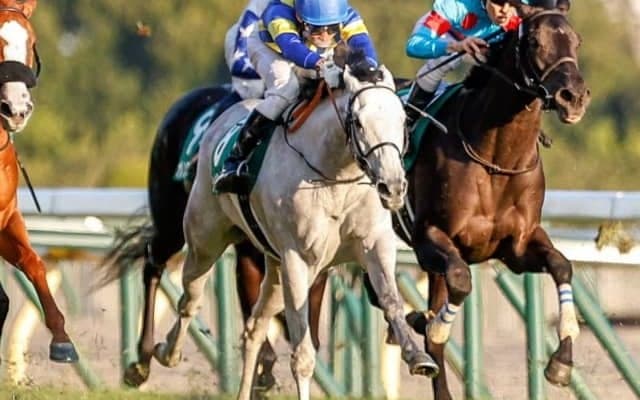 【フェアリーS予想】中山に戻ったシャドウファックスに期待