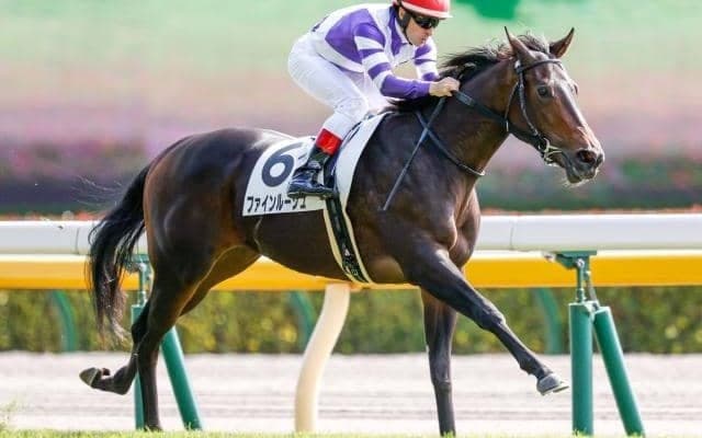 【本日の注目ポイント】3日間開催最終日、中山でフェアリーS