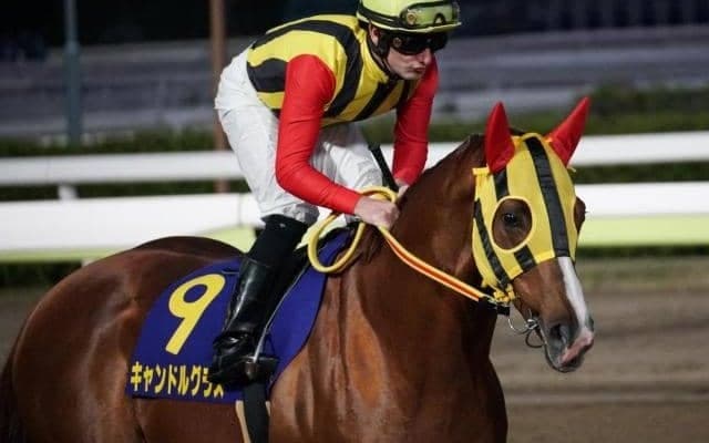 【船橋・船橋記念 枠順確定】キャンドルグラスは4枠4番、ノブワイルドは8枠12番