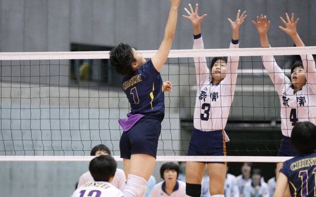 Vリーグで活躍する選手たちの春高優勝祝福コメント