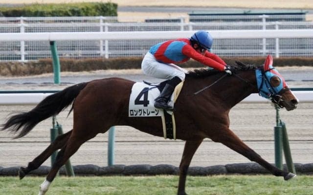 【中京6R】トランセンド産駒 ロングトレーンが豪快な差し切り