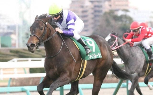 【フェアリーS】ルメールが混戦に断！ファインルージュが重賞初制覇
