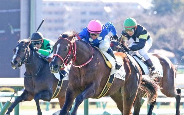 【新馬/中山6R】ハーツクライ産駒 タイセイドリーマーがデビューV