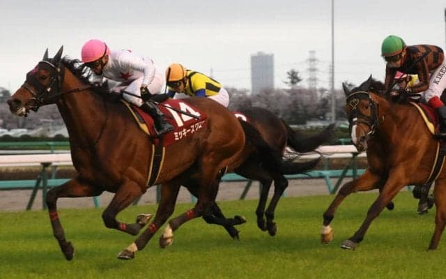 ミッキースワローが競走馬登録抹消