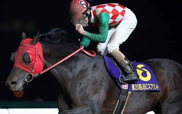 【地方競馬】NARグランプリ2020年度代表馬はサブノジュニア！DG競走特別賞にクリソベリル