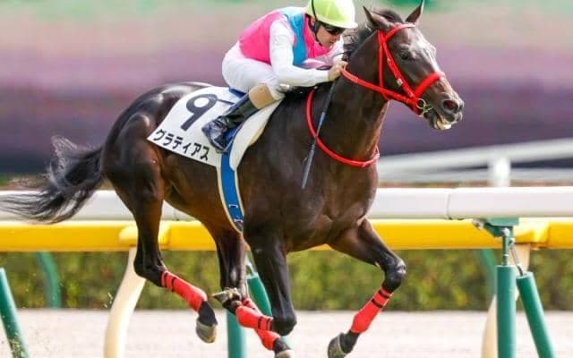 【京成杯 予想オッズ】レシステンシア半弟グラティアスが人気の中心