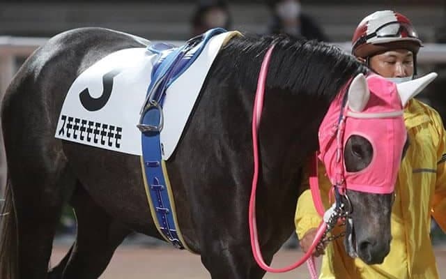 【地方競馬】「スモモモモモモモモ」が衝撃デビュー!!