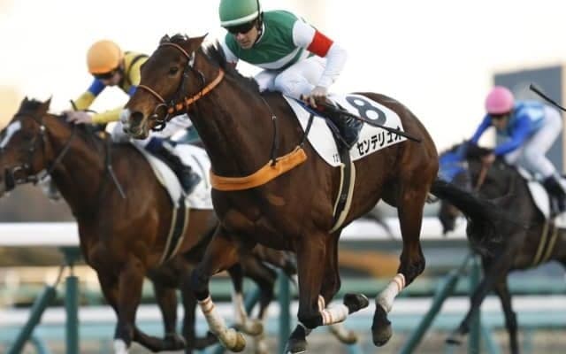 【愛知杯 予想オッズ】オールカマー覇者センテリュオが人気の中心