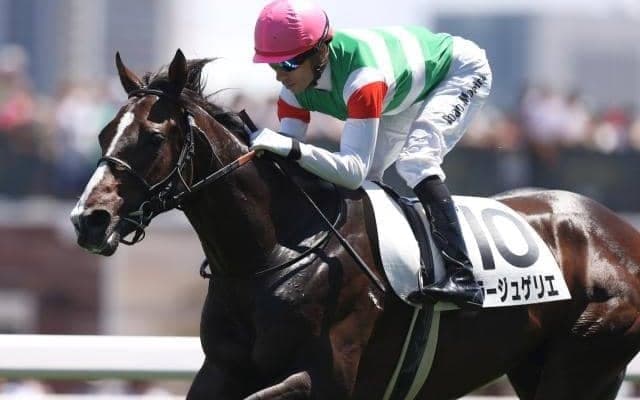 【日経新春杯展望】伝統のハンデGII、実績よりフレッシュさを重視したい