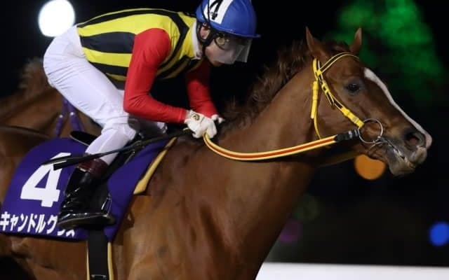 【船橋記念】キャンドルグラスが連覇　御神本訓史騎手「地力で差し切ってくれました」