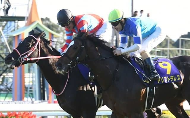 【AJCC想定】昨年牡馬クラシックで活躍のアリストテレス、ヴェルトライゼンデ、サトノフラッグなど