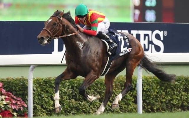 【海外競馬】モーリス産駒が豪州初勝利、バルモーリスがデビュー戦を2.1/4馬身差の完勝