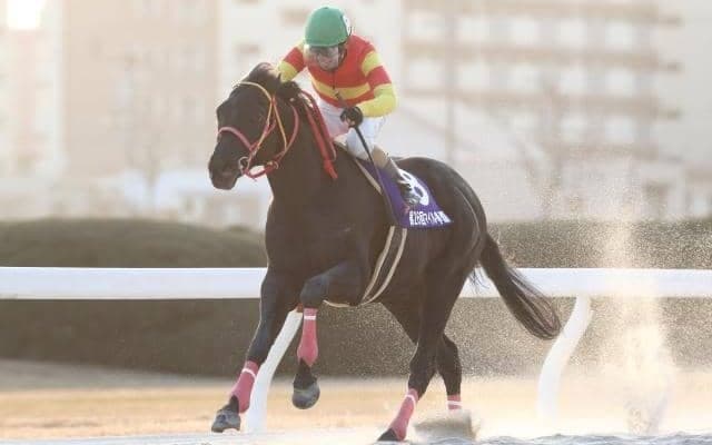 【名古屋・マイル争覇結果】カツゲキキトキトが節目の重賞V