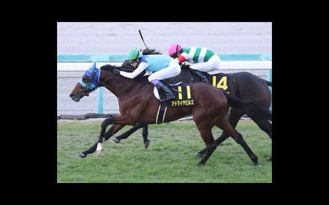 日経新春杯は「６億円馬」が魅せる。重賞初制覇へ条件変更も追い風だ