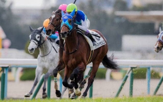 武豊騎手 今週の騎乗馬