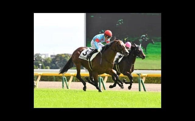 すべて１勝馬。「荒れる」要素が増した京成杯で穴党記者が見極めた４頭