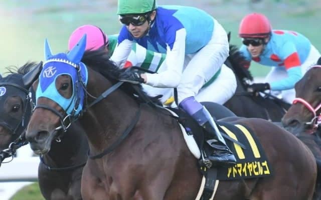 【日経新春杯 予想】56キロのハンデでも武豊アドマイヤビルゴに期待