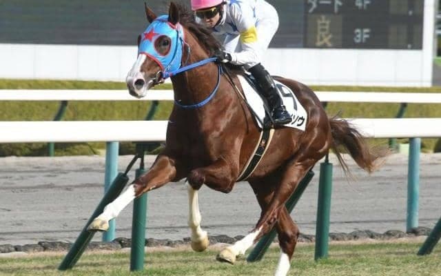 【京成杯 予想】タイソウ　今週もモーリス産駒に期待