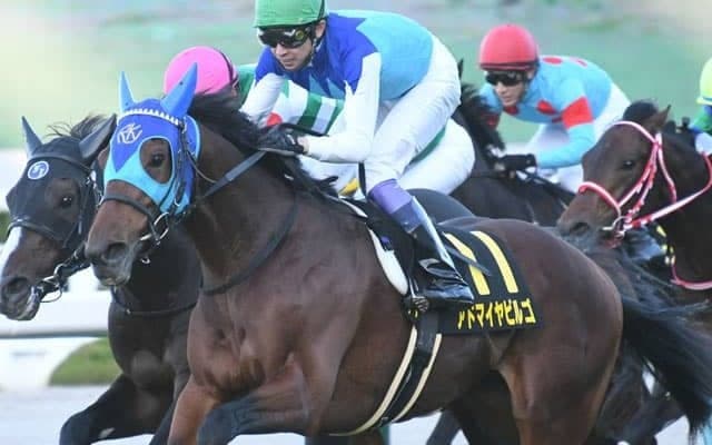 【本日の注目ポイント】中山で京成杯、中京で日経新春杯