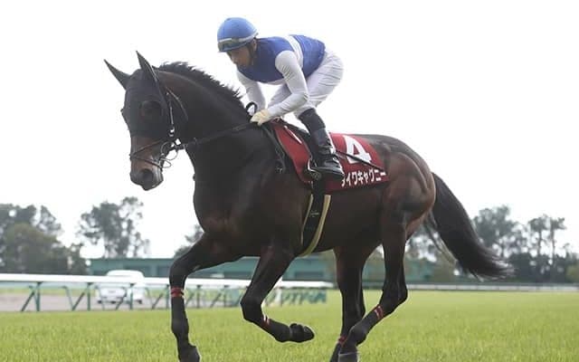 【日経新春杯予想】 相馬の達人が馬体から“穴馬”を発掘!? 実績よりも重視したいのは条件適性/JRAレース展望