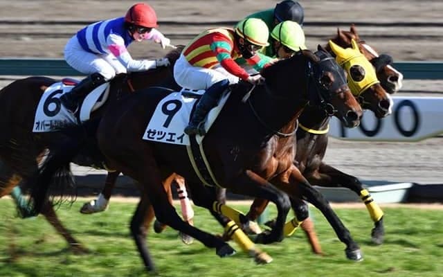 【JRA】小倉10Rでゼツエイが死亡、8Rでハクアイオウが予後不良に