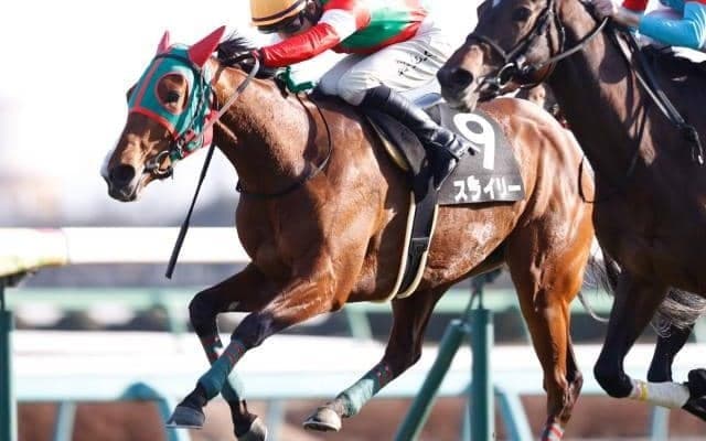 【菜の花賞結果】8番人気のスライリーがV