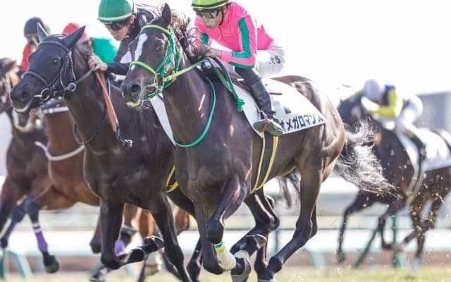 【中山6R新馬戦結果】ヌーヴォレコルトの全妹オメガロマンスがV